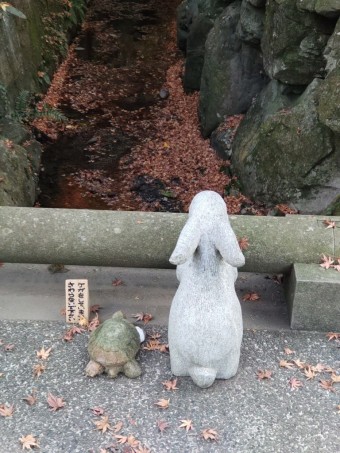 DSC_1438 DSC_1438-e1738740594927